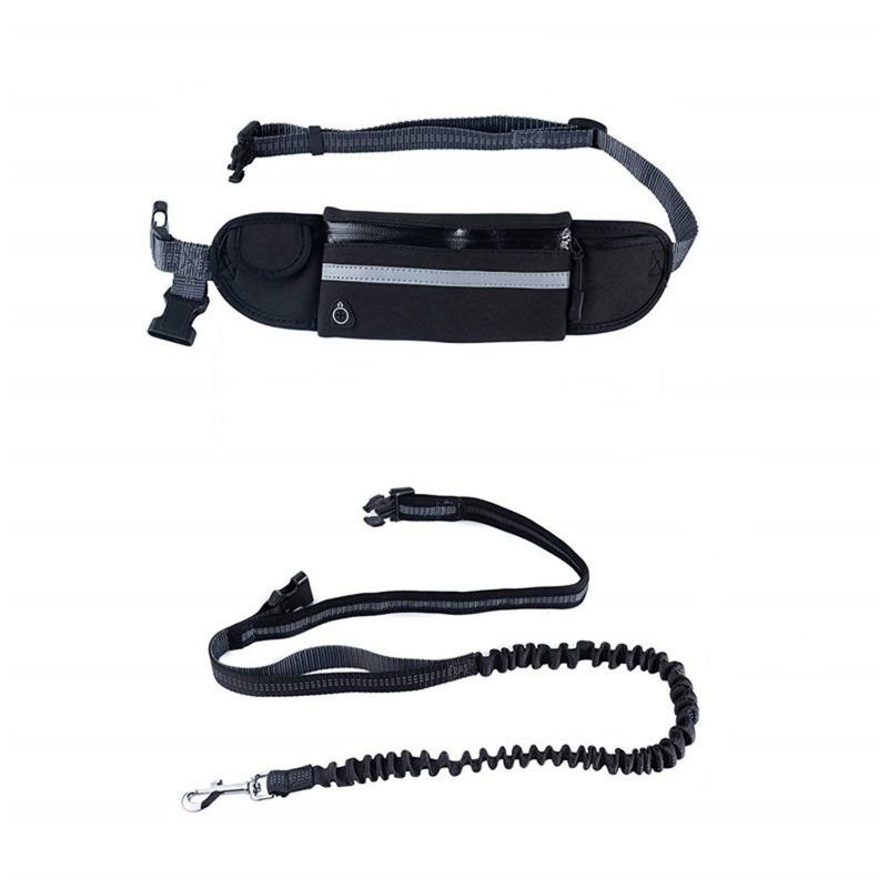 dog leash pouch