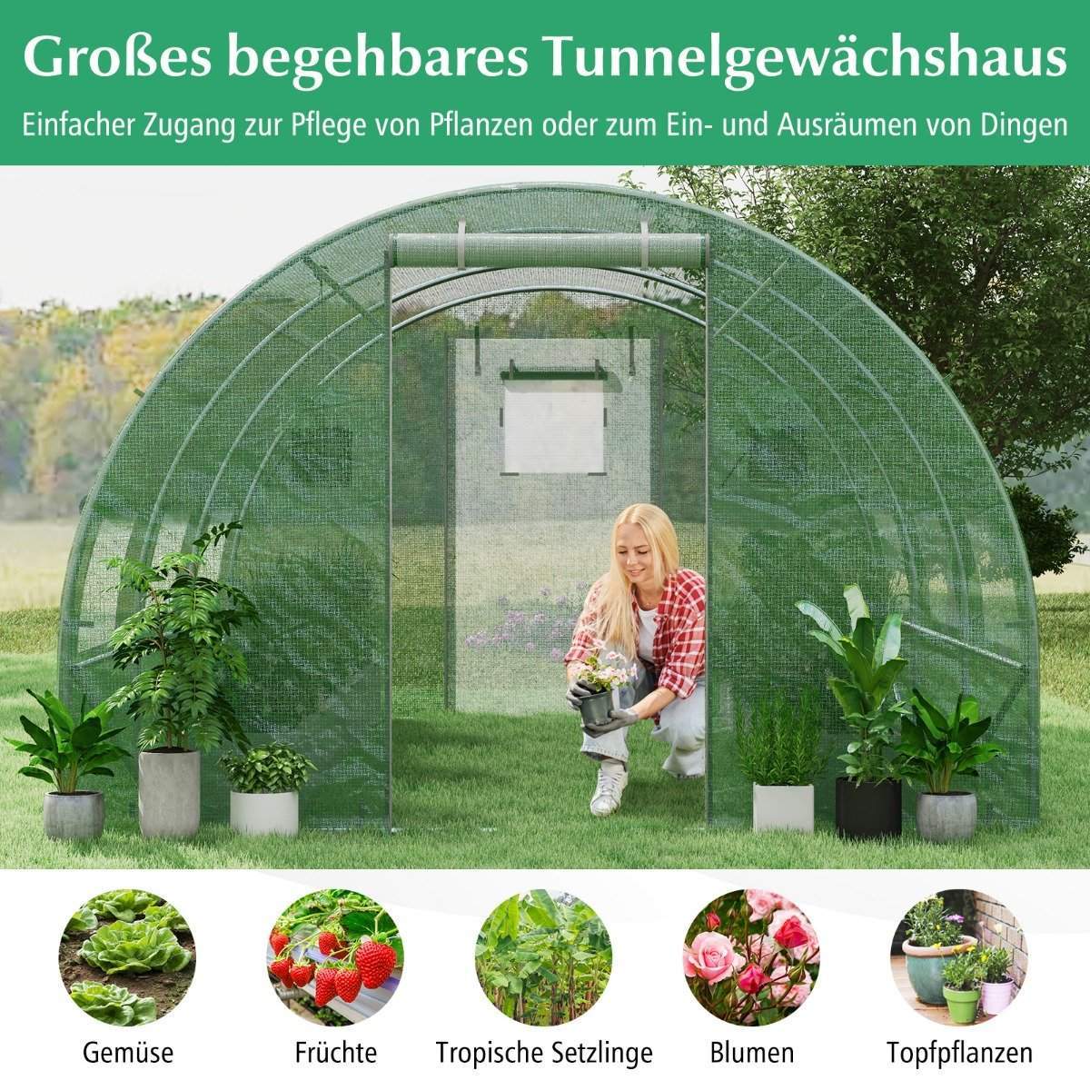 Walk-In drivhus, 12m² PE-dæksel, ventileret og holdbart