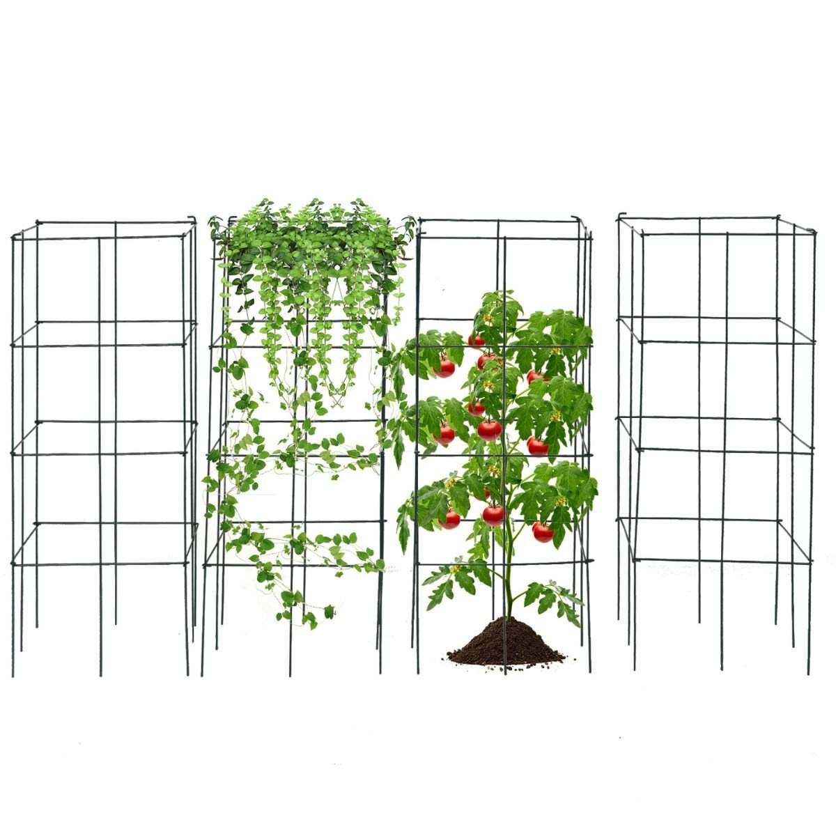 Tomatplantestøttebursæt – Slidstærkt jern, 100 cm, 4 stk