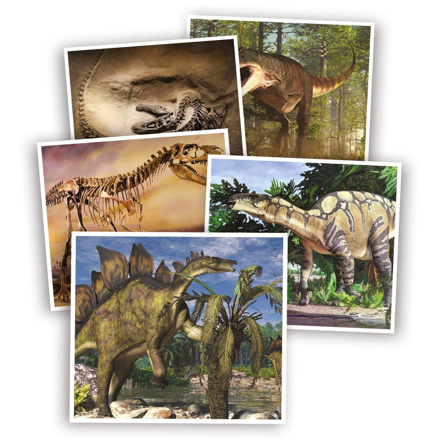 Dinosaurquizspil for børn, sjovt og lærerigt, fra 7 år