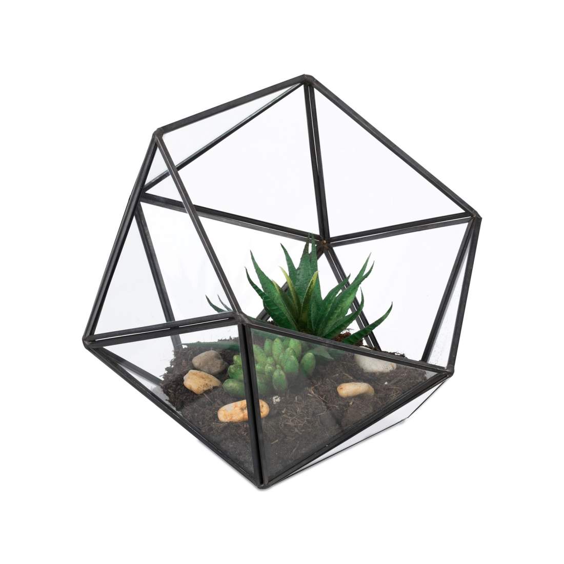 Geometriskt glasterrarium – öppen design för kaktusar och suckulenter | Hem & Hobby | Pryloteket