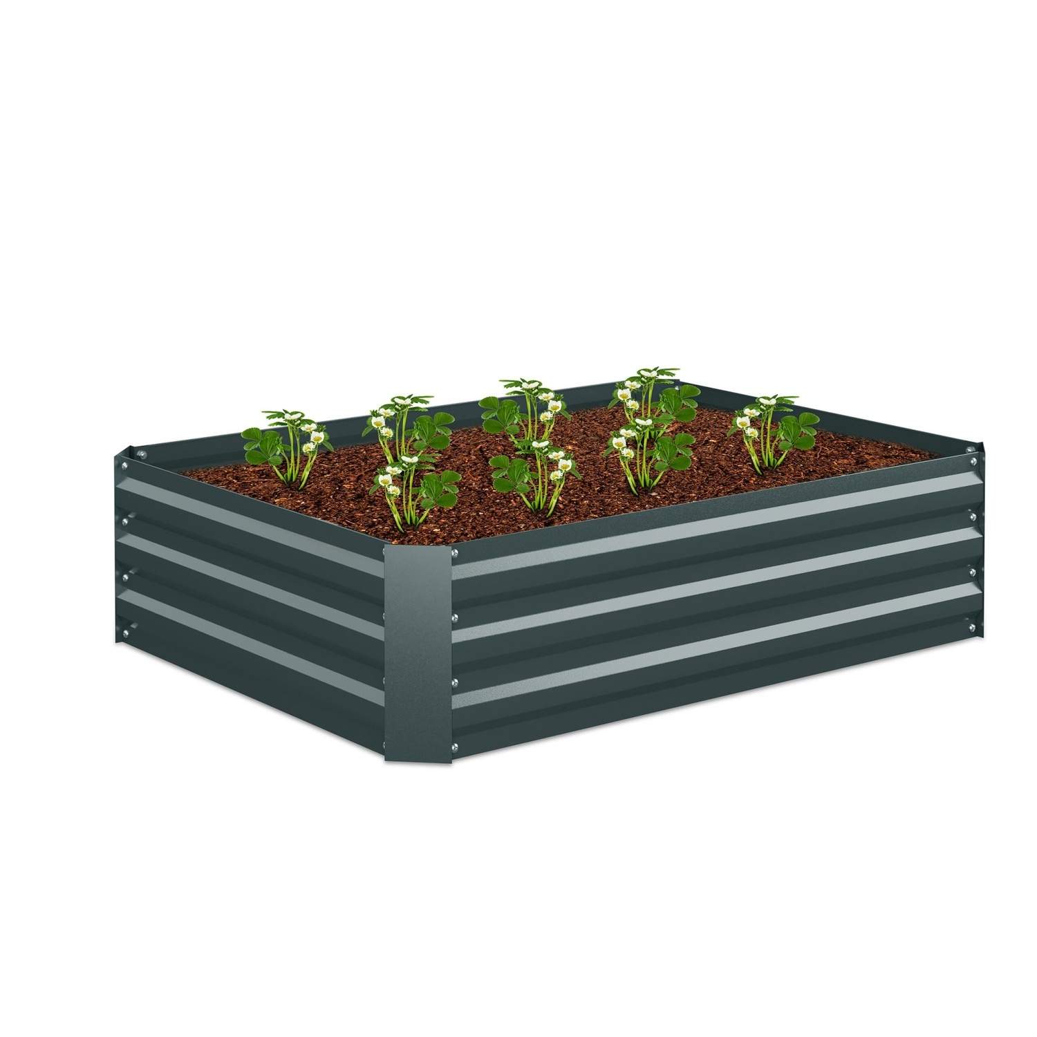 Højbed i metal – galvaniseret, skadedyrsbestandigt, uden bund