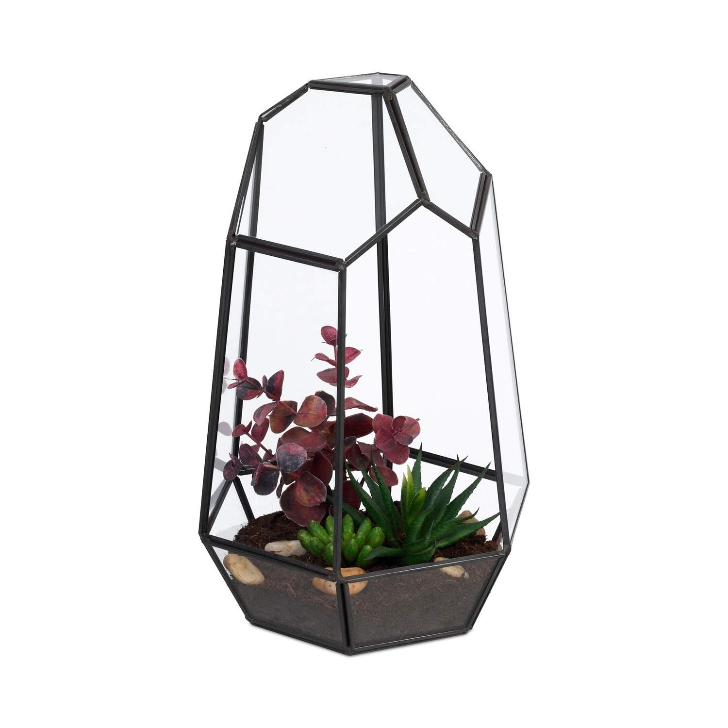 Geometrisk glasterrarium – 25 cm, åbent design til sukkulenter