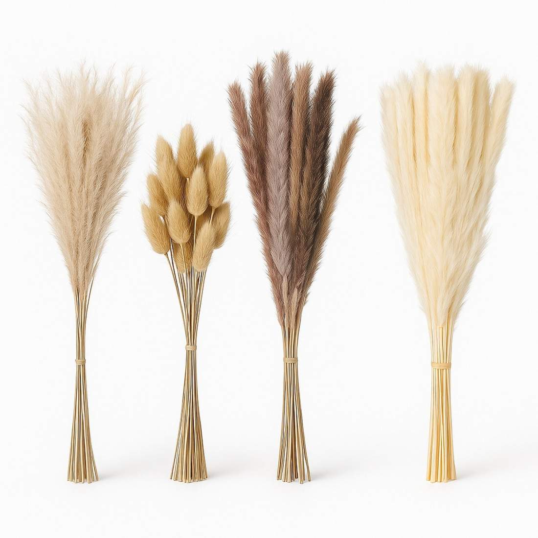 Torkat pampasgrässet – 144 delar för chic inredning | Hem & Hobby | Pryloteket