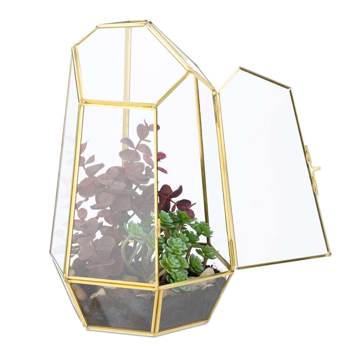 Geometriskt glasterrarium – växtvisning inomhus | Hem & Hobby | Pryloteket