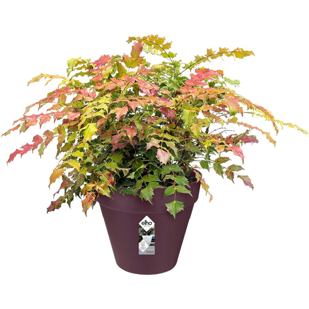 Blomkruka, Återvunnen plast, Mulberry, 19x18cm, 3L | Hem & Hobby | Pryloteket
