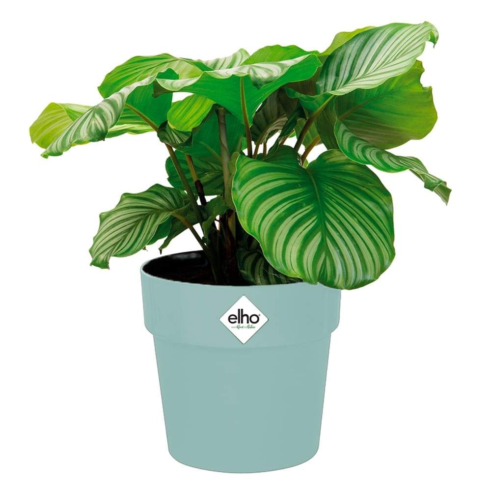 Blomkruka, frosttålig återvunnen plast, mintgrön, 2,9 l | Hem & Hobby | Pryloteket