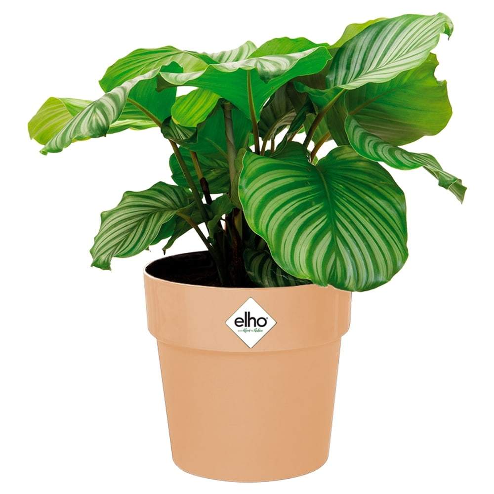Blomkruka, frosttålig återvunnen plast, 2,9 l | Hem & Hobby | Pryloteket
