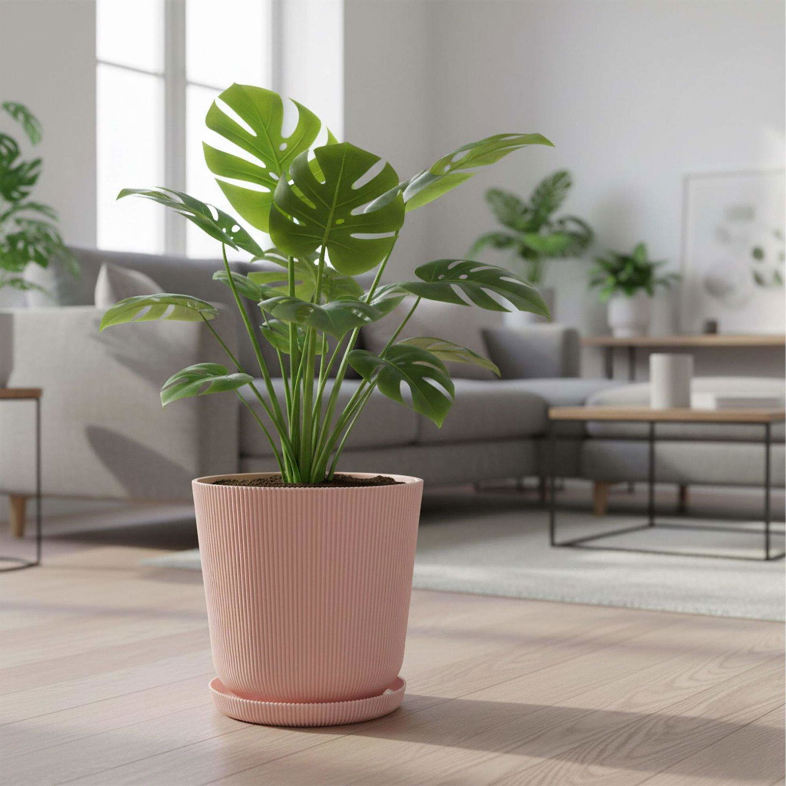 Plantekasser med underkopper – sæt med 2, indendørs/udendørs