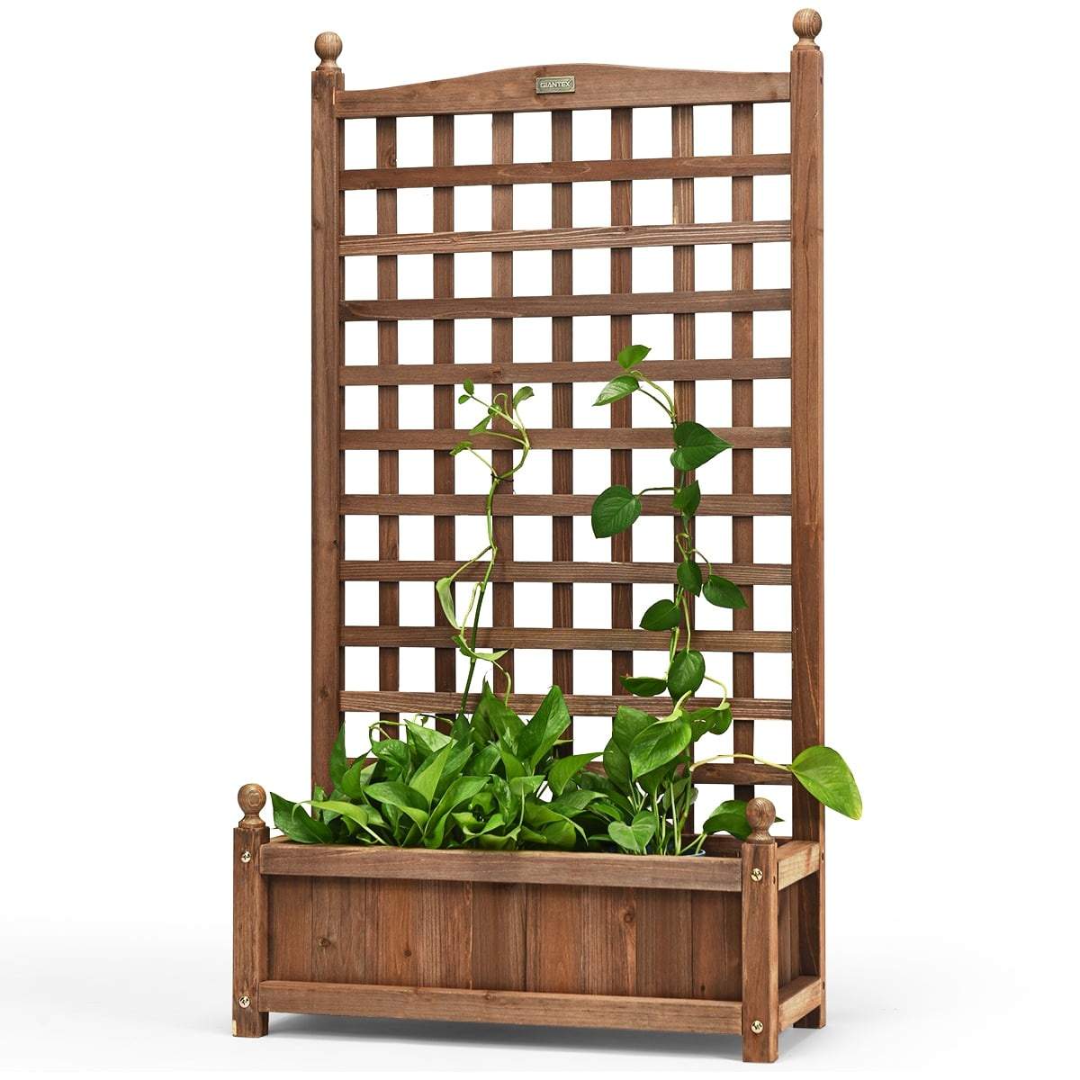 Træplantekasse med espalier – 64,5x28x120 cm brun