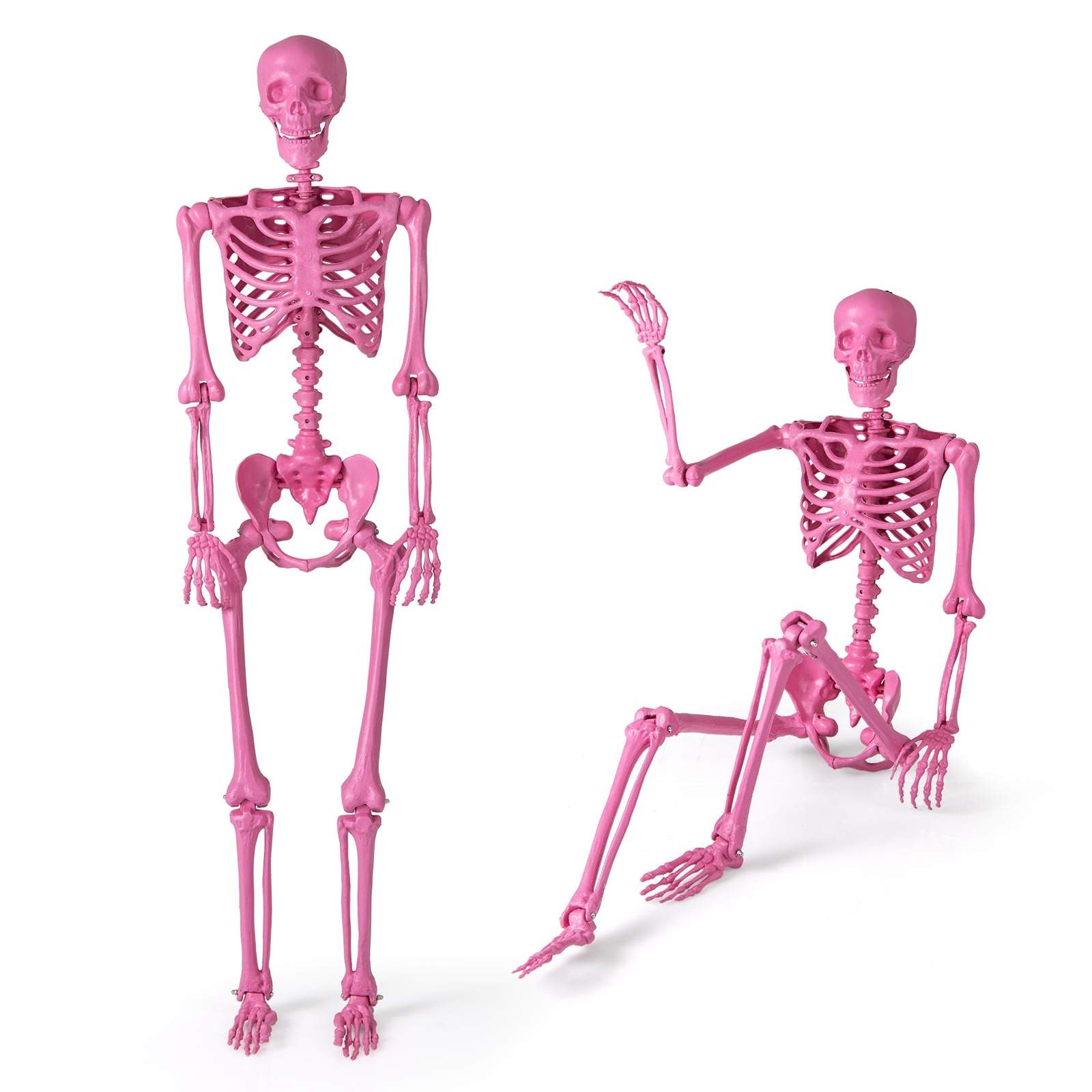 Naturligt 160 cm rosa skelett med rörliga leder för Halloween | Hem & Hobby | Pryloteket