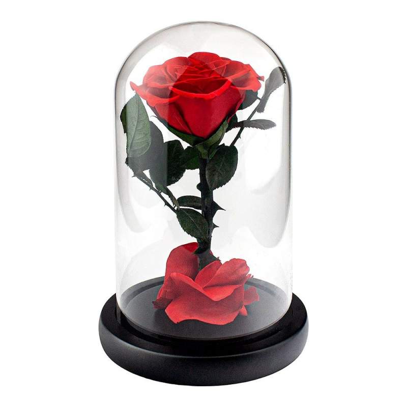 Large Rose in a Bell Jar Red eStore
