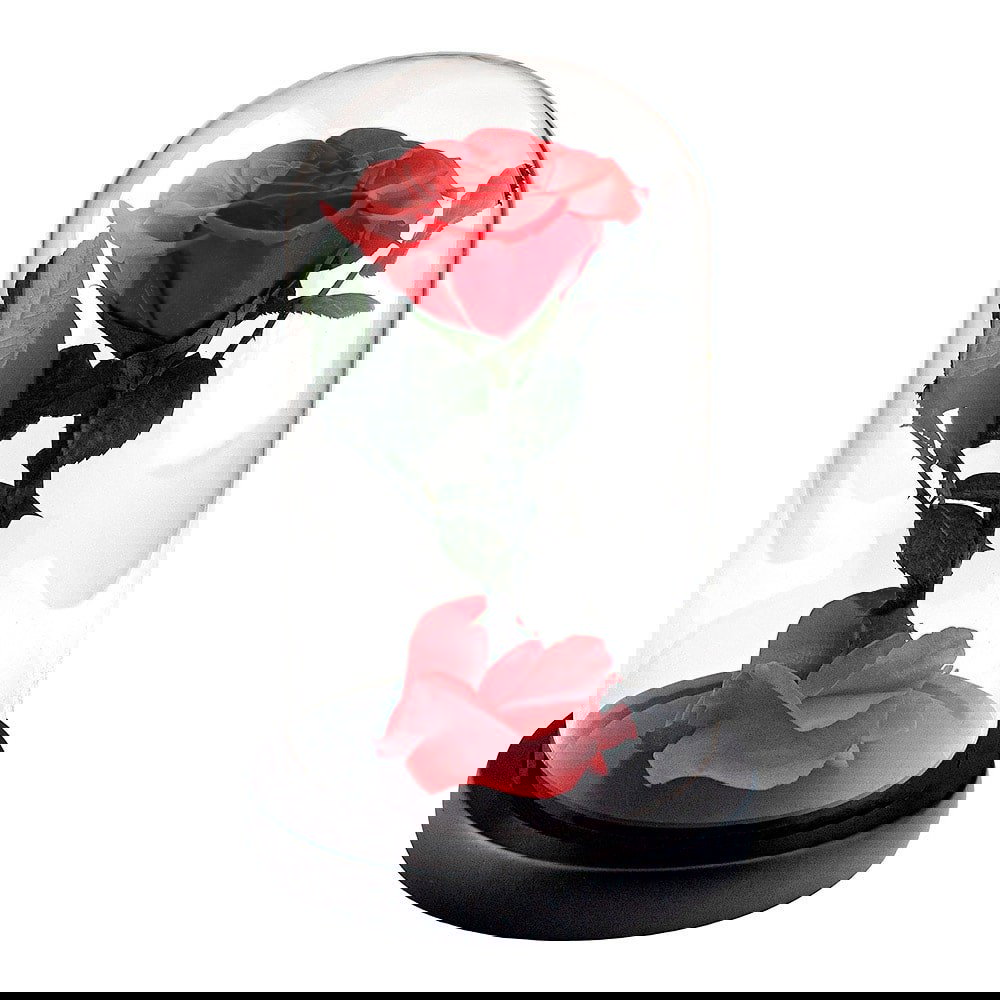 Iso Ruusu Lasikuvussa - Punainen