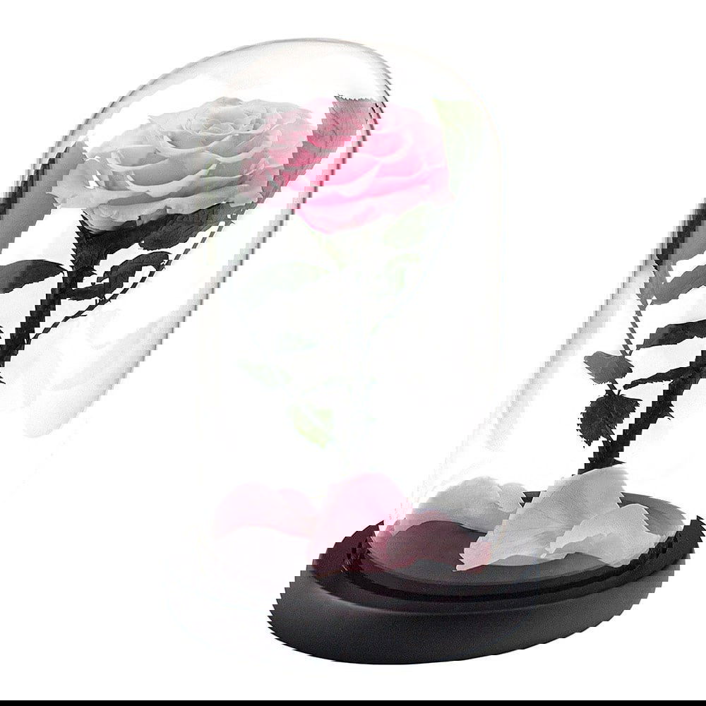 Stor Rose i Glaskupe - Lyserød