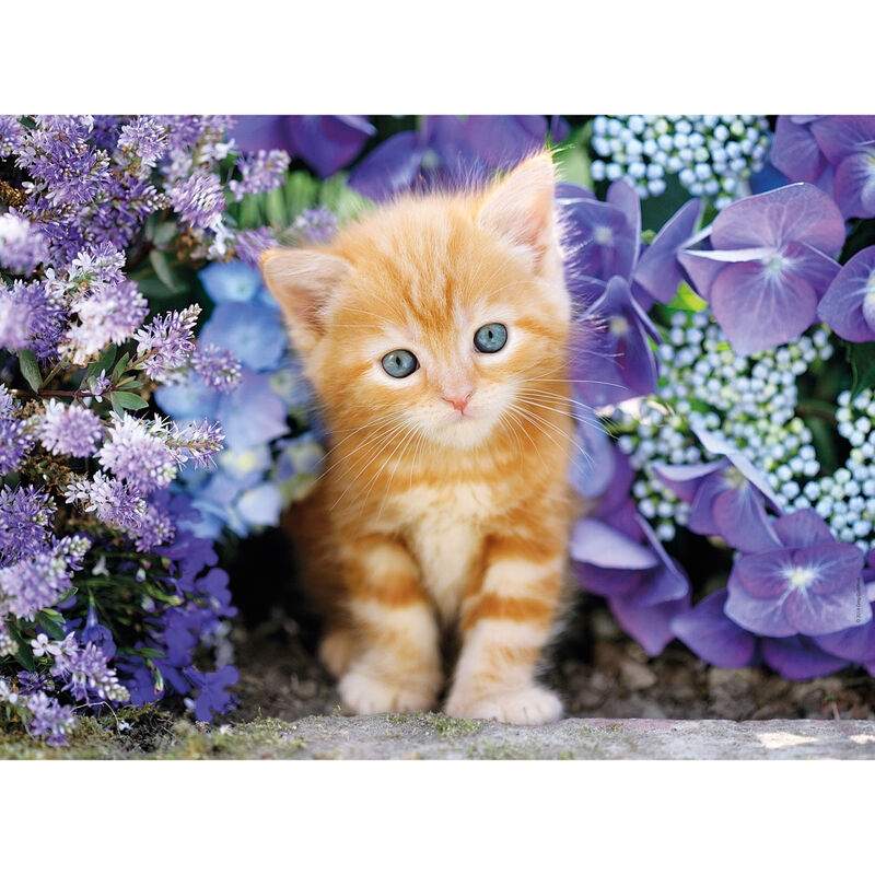 Puslespil med ingefærkat i blomster 500 brikker