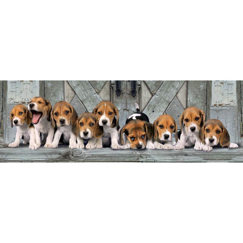 Beagles Panoramapussel 1000 bitar | Hem & Hobby | Pryloteket