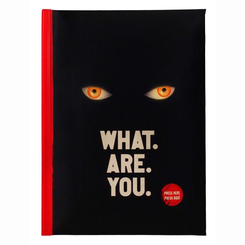 IT Velkommen til Derry Hvad er du notesbog