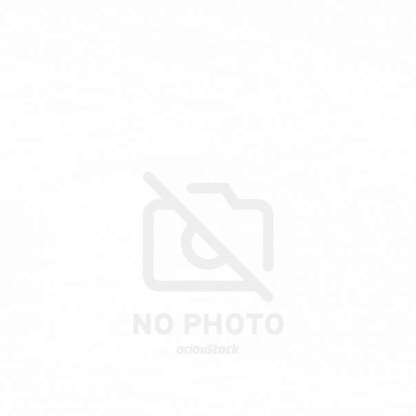 Loungefly Chucky -reppu 26 cm