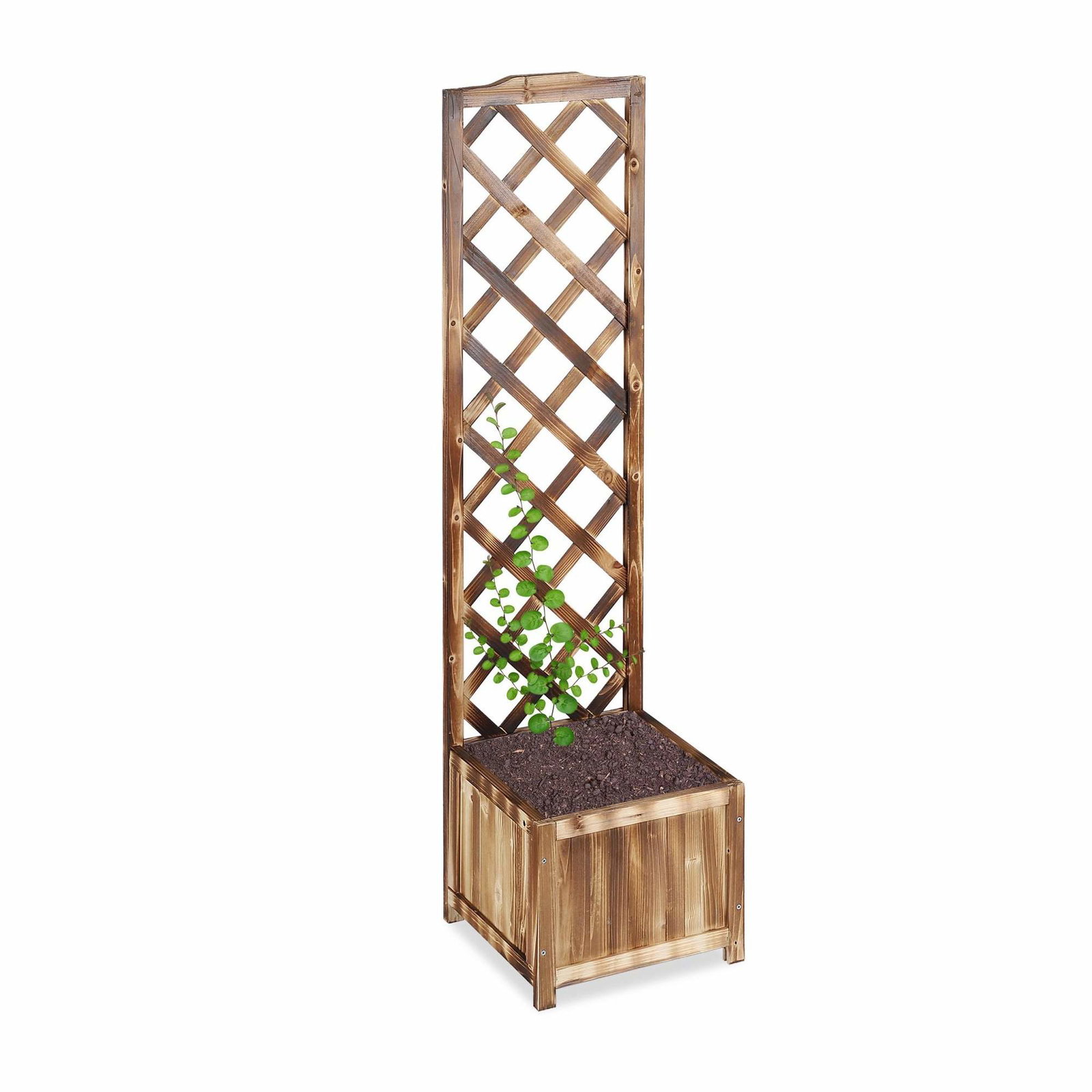 Flammet plantekasse med espalier