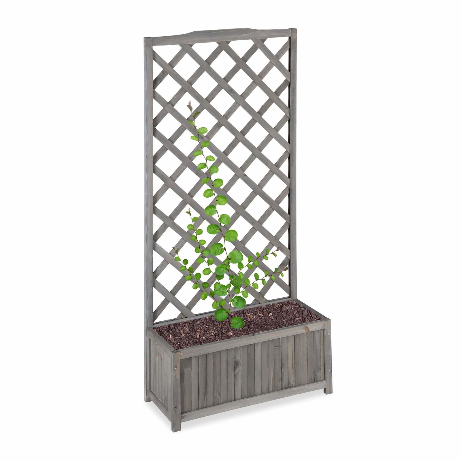 Grå plantekasse med espalier