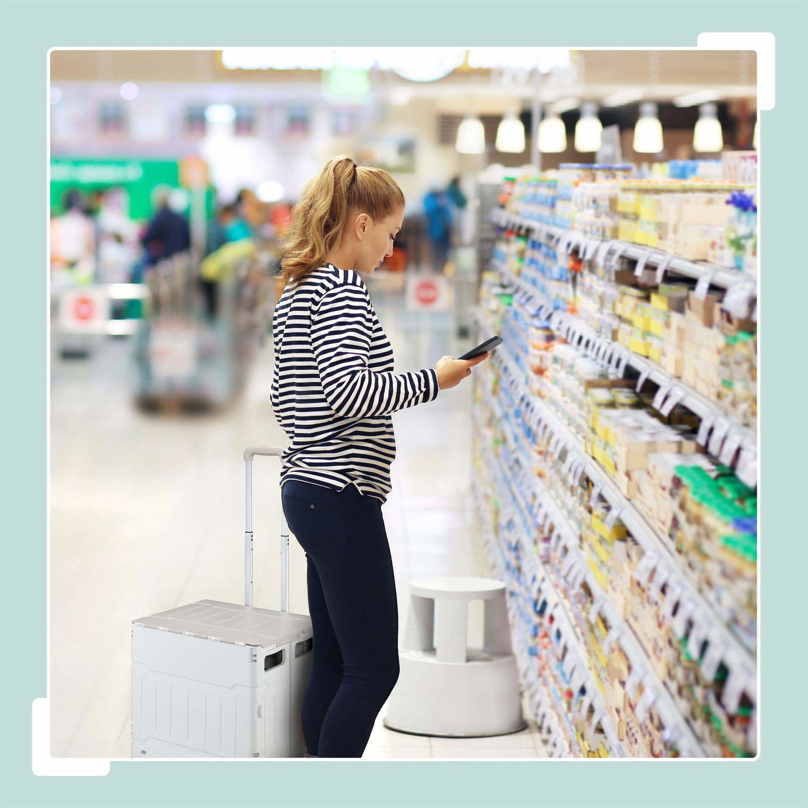 Indkøbsvogn med trappebestigere