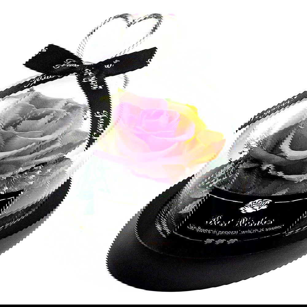 Lille Evighedsrose, Regnbuefarvet - Just for you