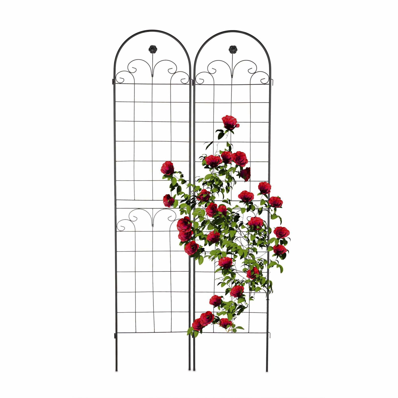 Trellis 220 cm sæt af 2 sorte