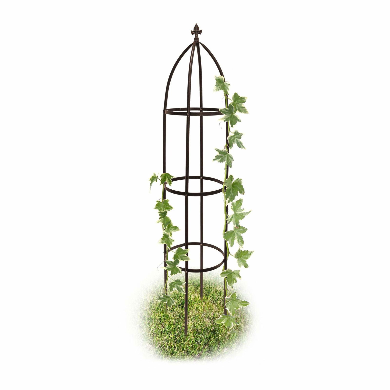 Trellis obelisk metal brun 190 cm