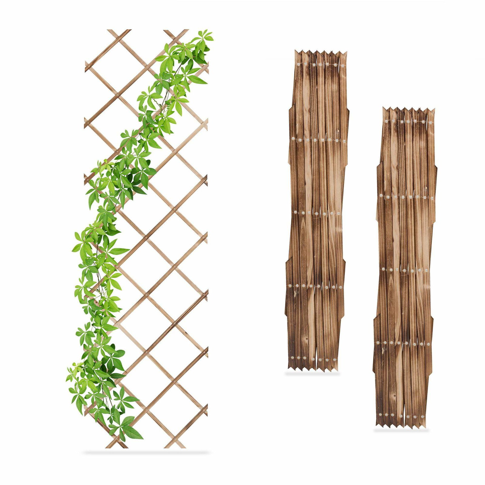 Udtrækkeligt espalier i træ, sæt med 3 stk