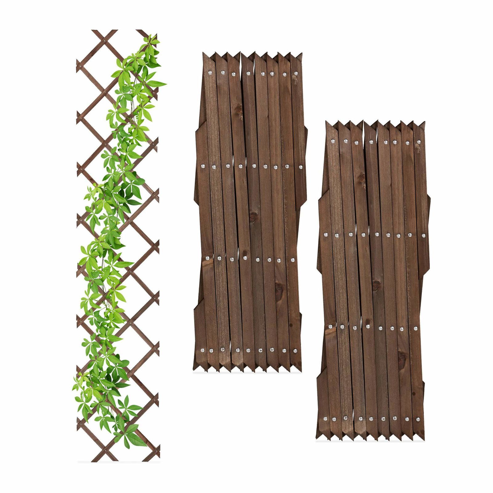 Udtrækkeligt espalier i træ, sæt med 3 stk