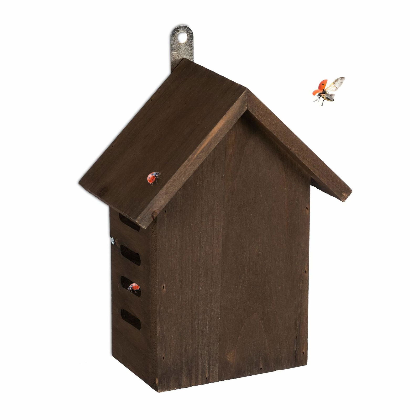 Mariehønehus i træ