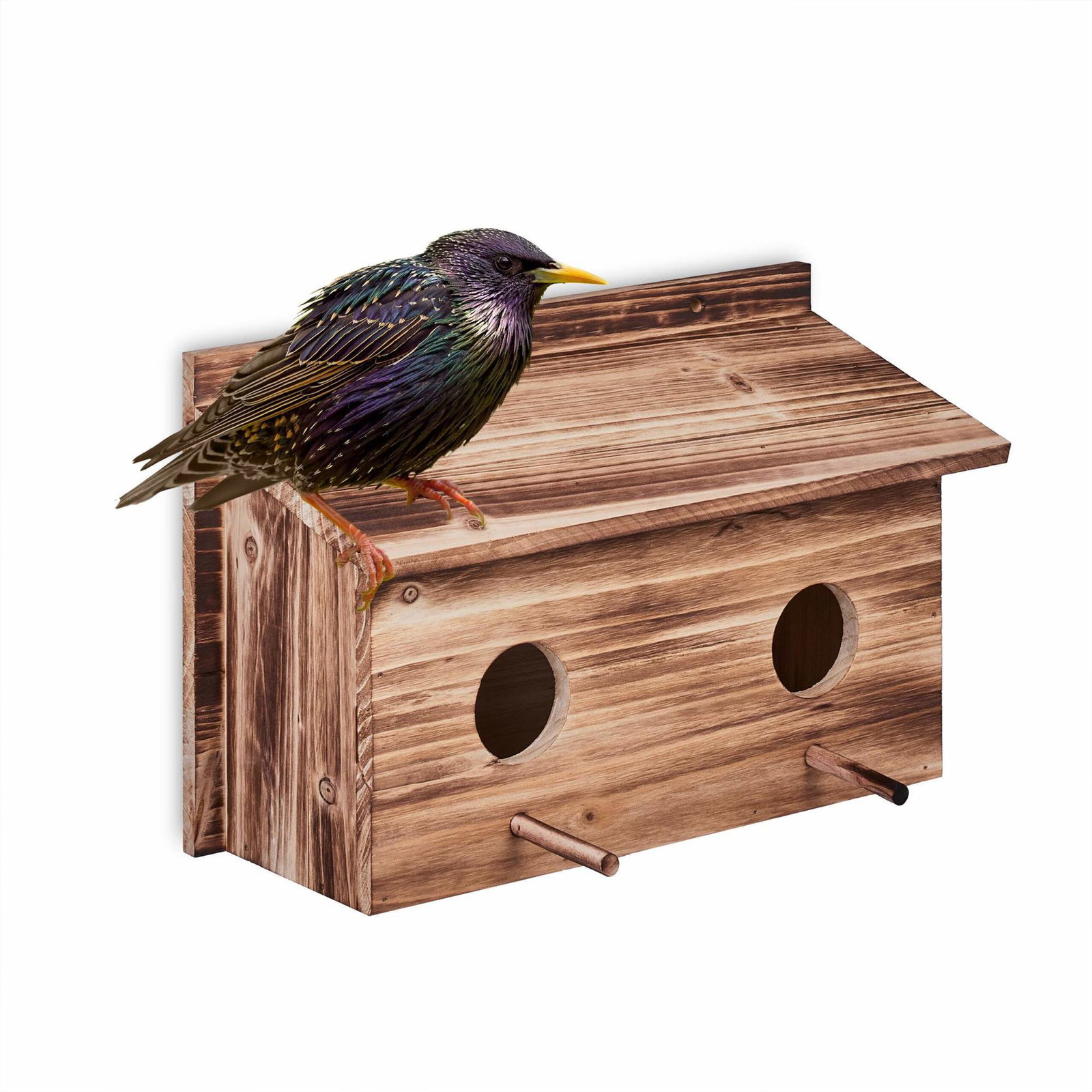 Bo för starar | Hem & Hobby | Pryloteket