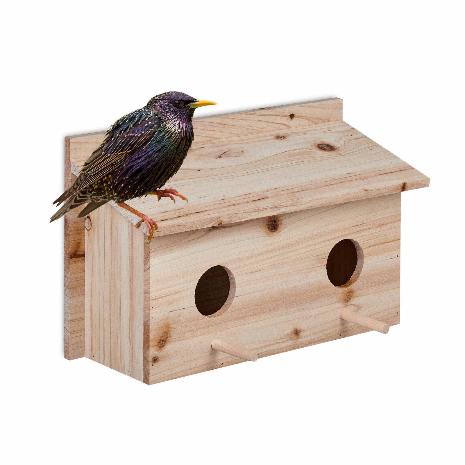 Bo för starar | Hem & Hobby | Pryloteket