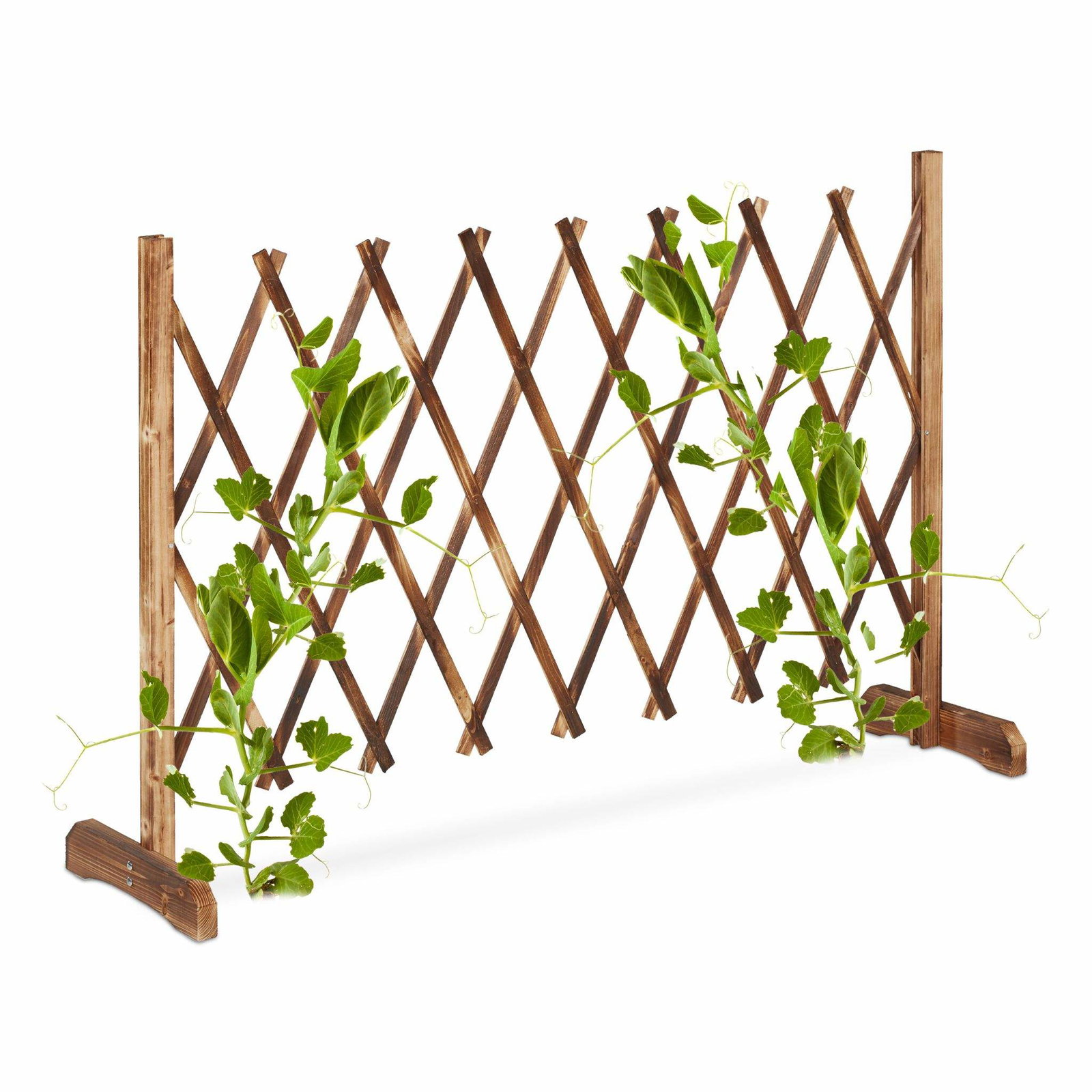 Infällbar spaljé naturlig | Hem & Hobby - Hem & Hushåll - Kök - Köksredskap - Lock | Pryloteket