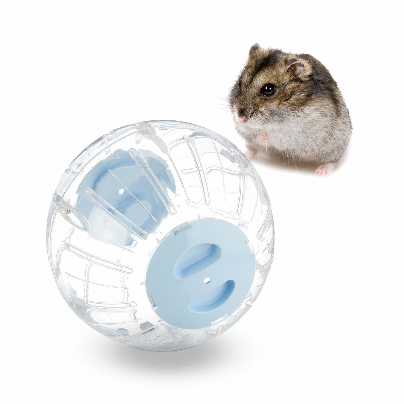 Hamsterkugle med lyseblåt låg