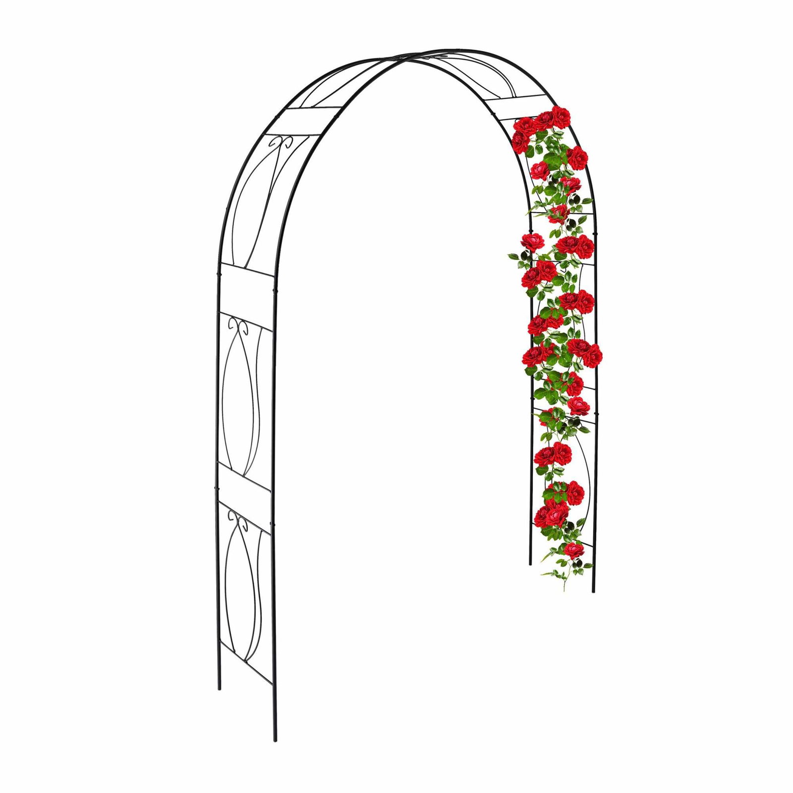 Sort rosenbue