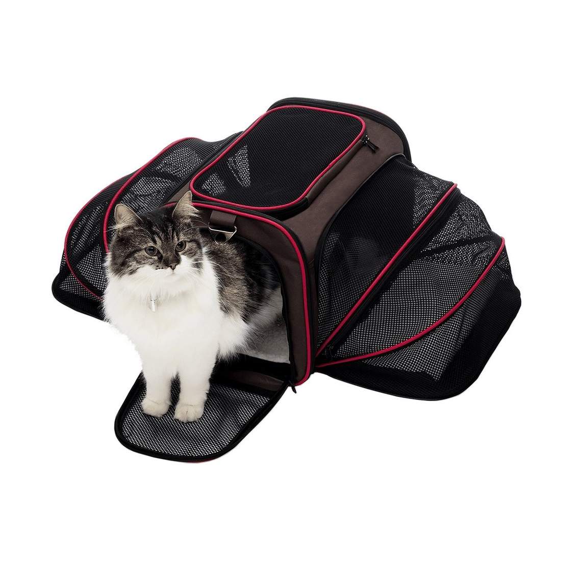 Expandable Pet Carrier eStore