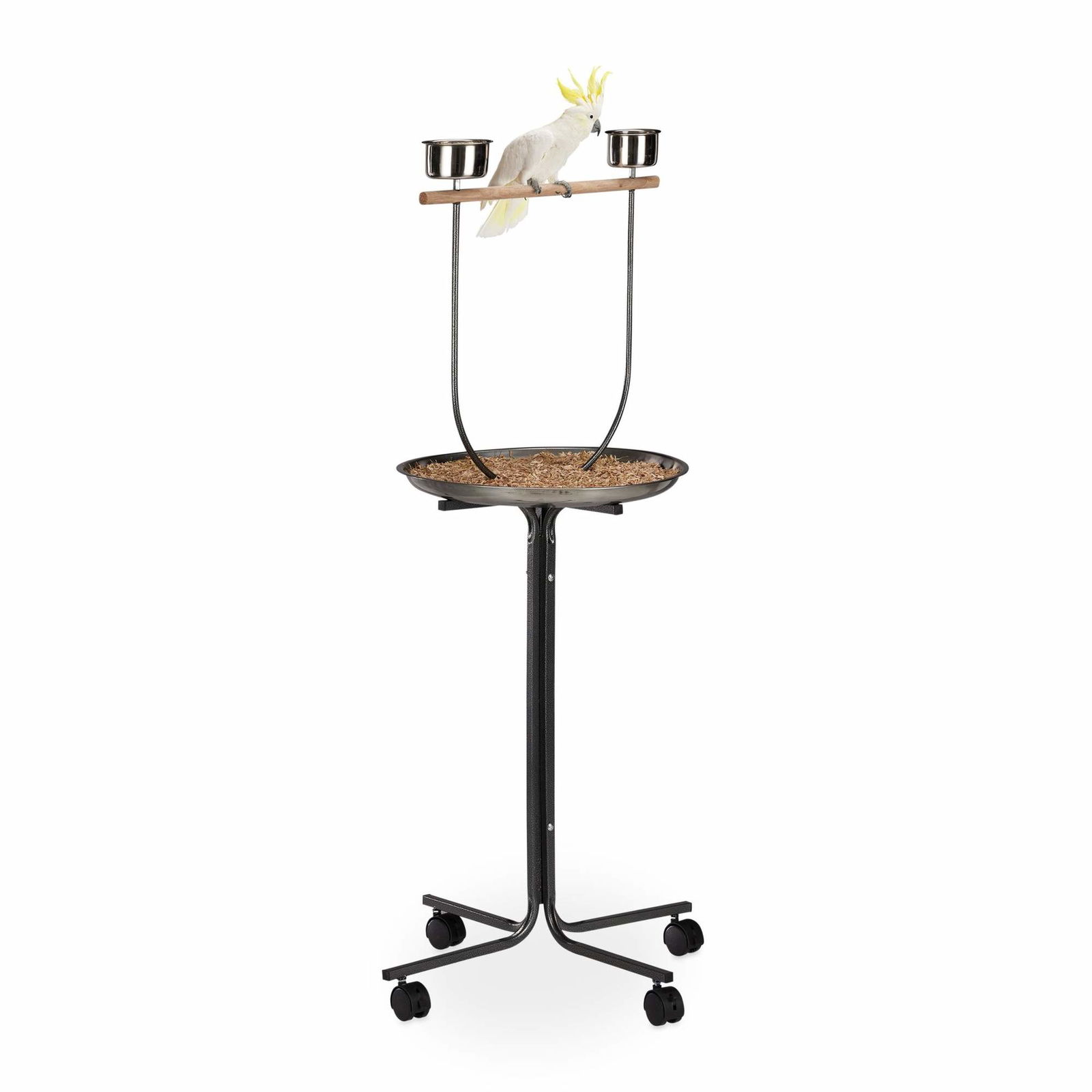 Papegøjeaborre med stativ
