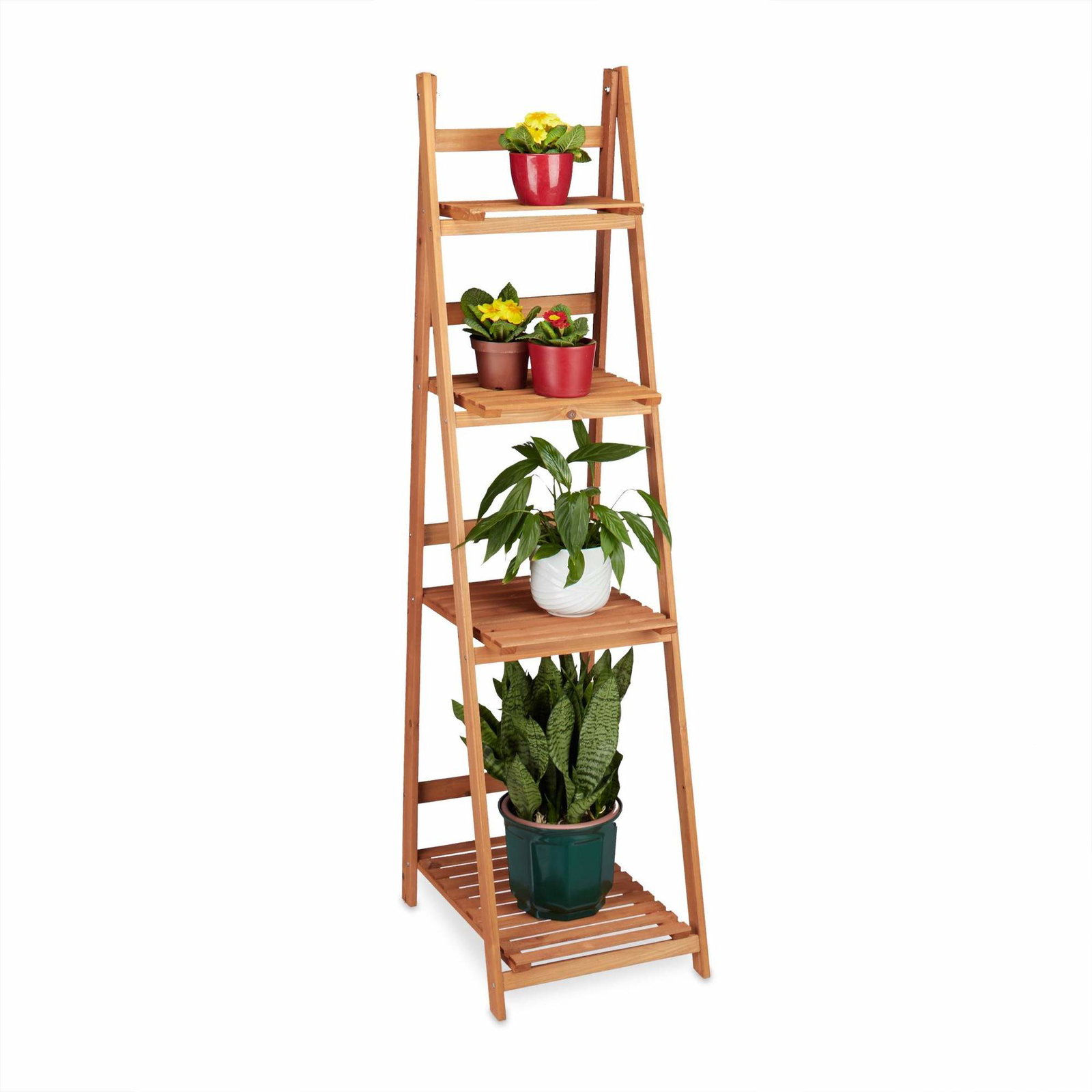 Plant hyldetræ