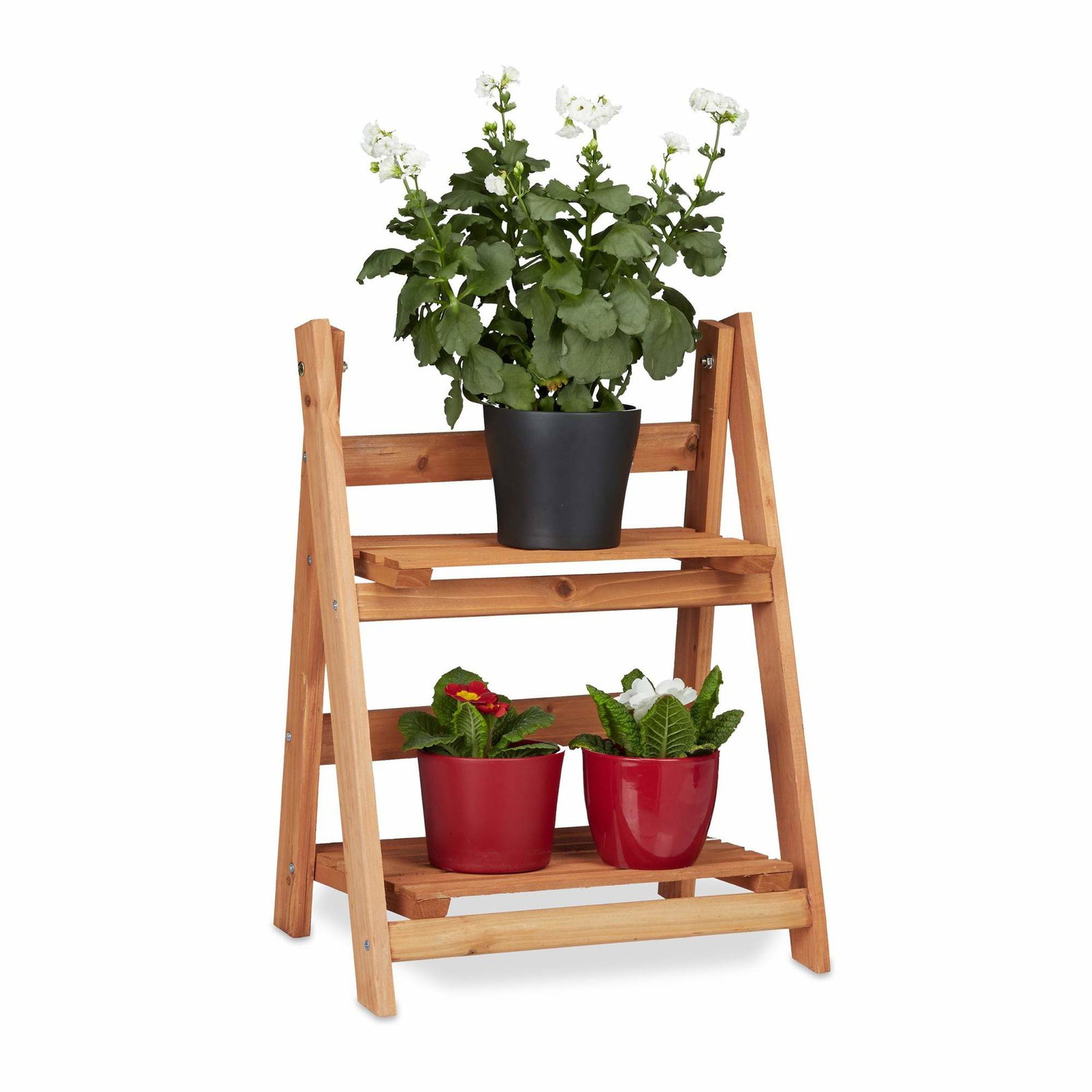 Plant hyldetræ
