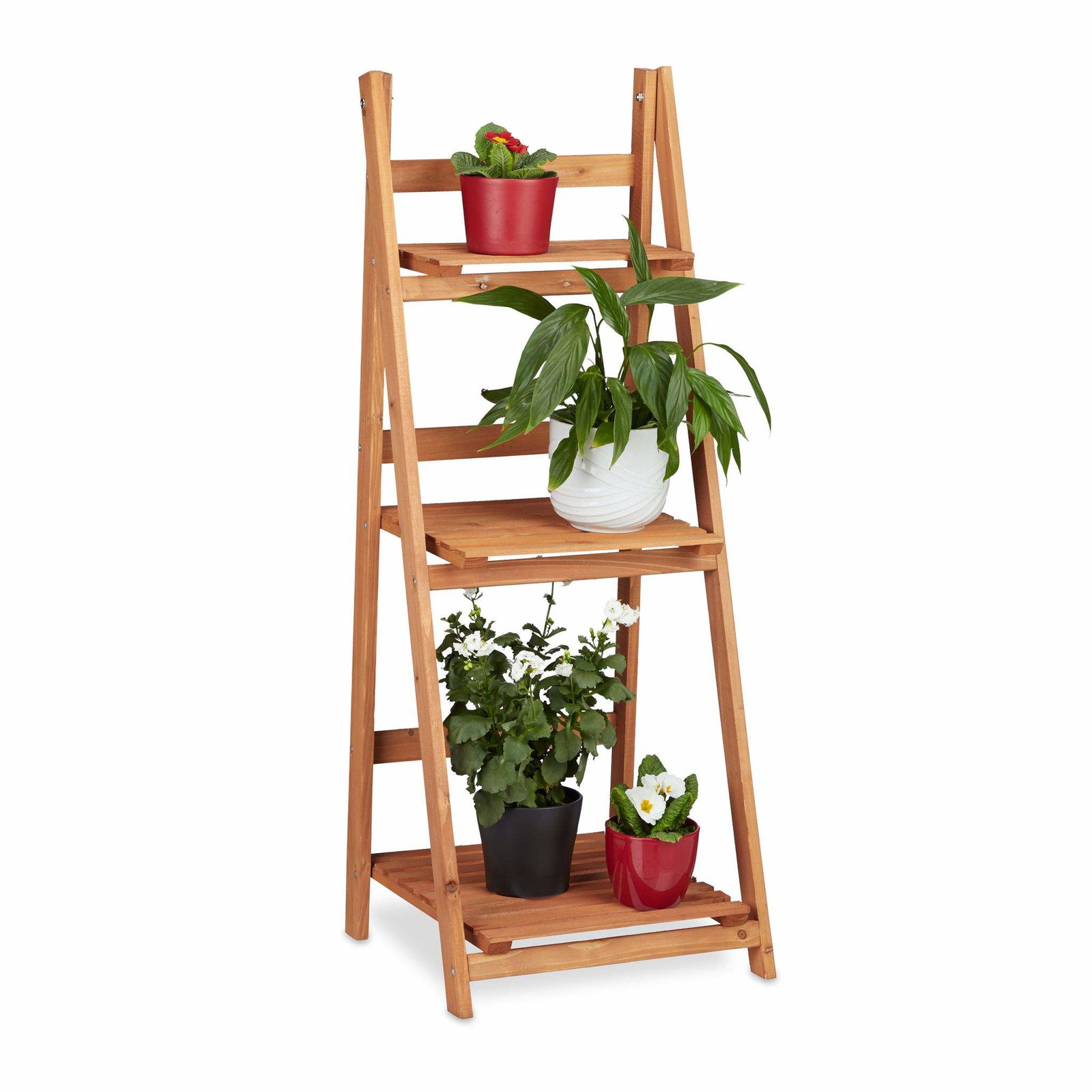 Plant hyldetræ