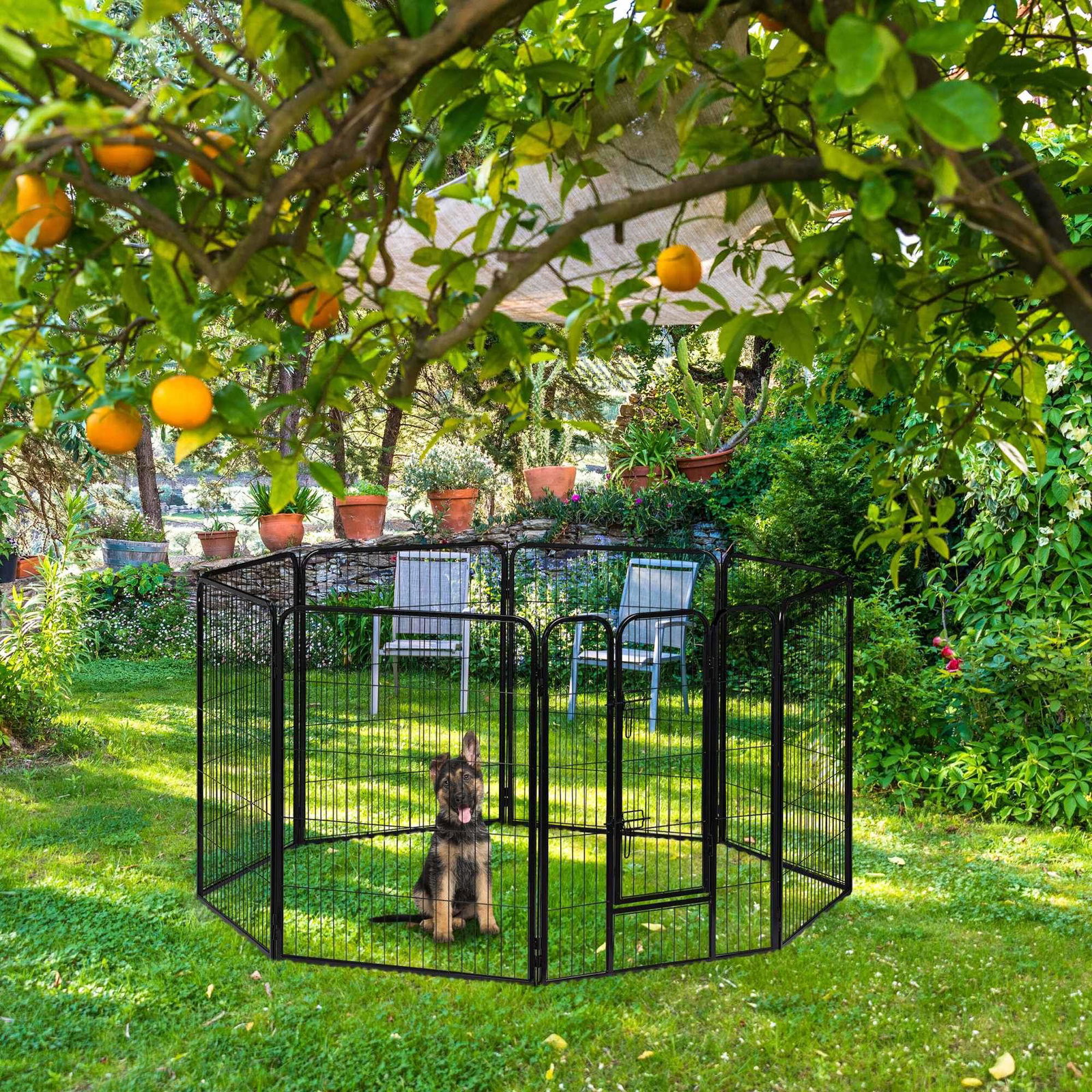 Valp storlek M-XXL | Hem & Hobby - Hem & Hushåll - Balkong | Pryloteket