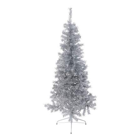 Sølvtræ højde 180 cm