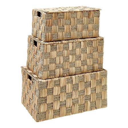 Set med 3 stammar Nadi vattenhyacint | Hem & Hobby | Pryloteket