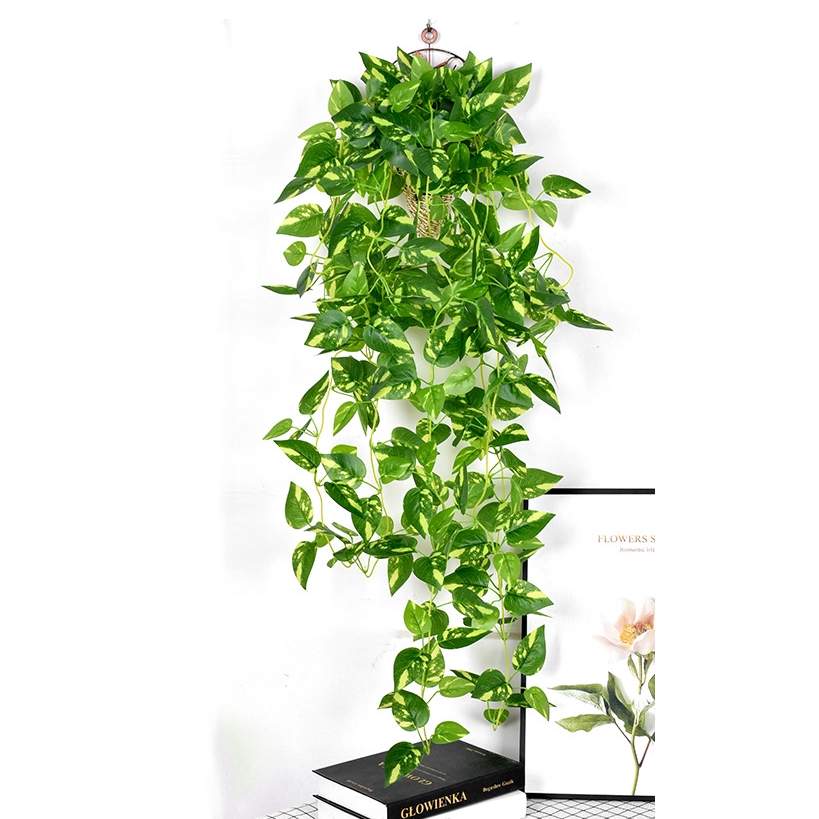 Nio gafflar väggbonad vintergröna | Hem & Hobby | Pryloteket