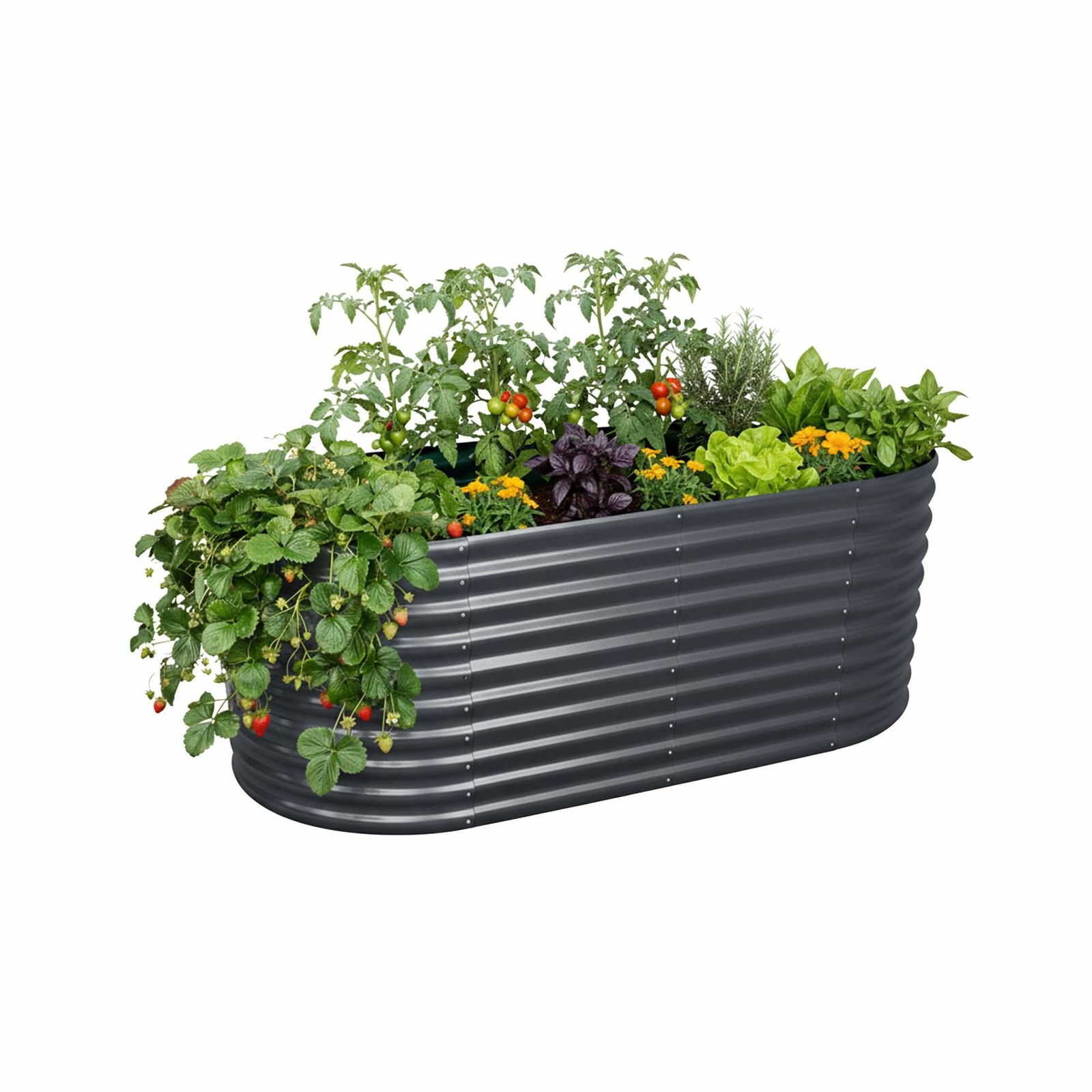 Halvcirkelformet hævet havebed i metal – rygvenlig