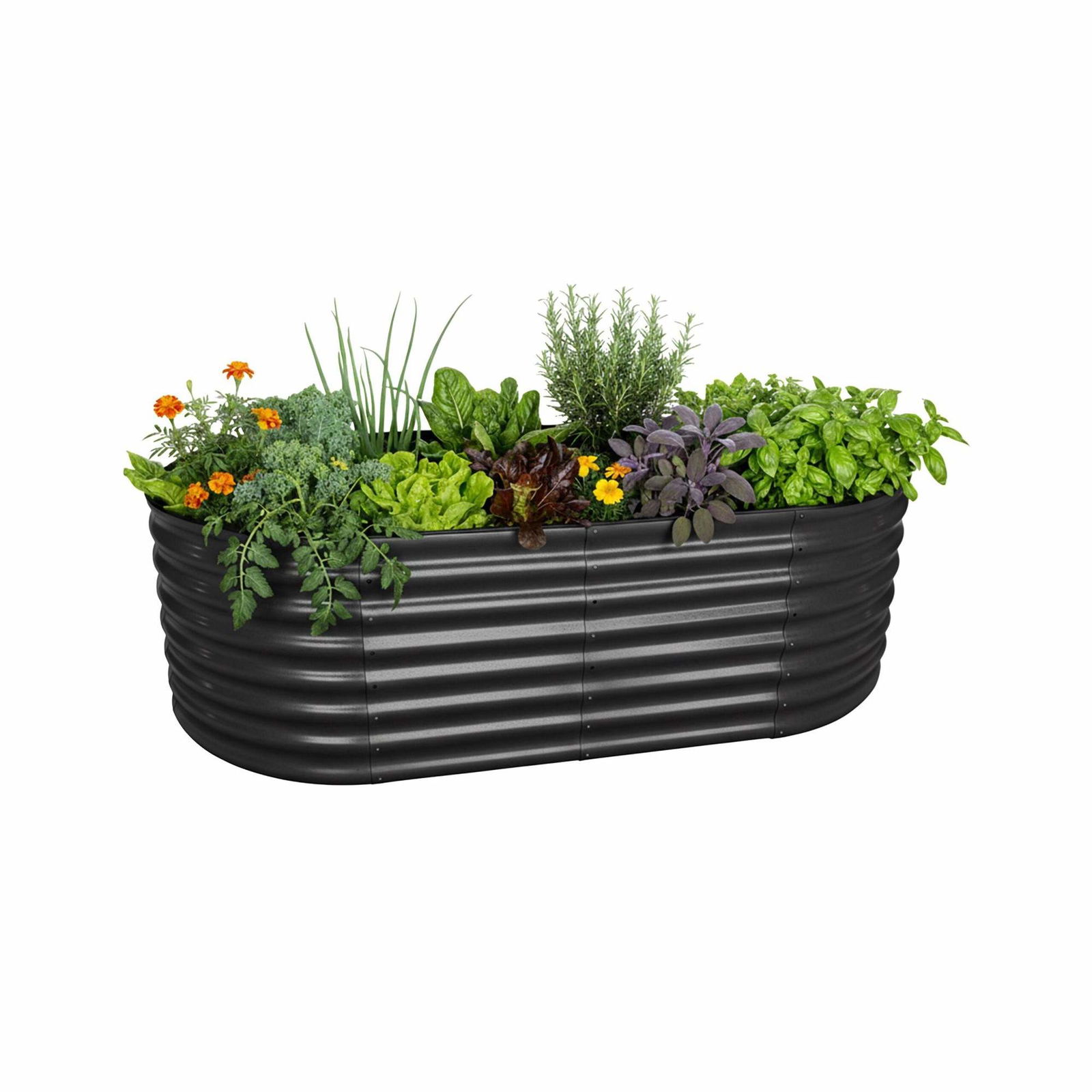 Halvrundt højbed i metal – rygvenlig havearbejde