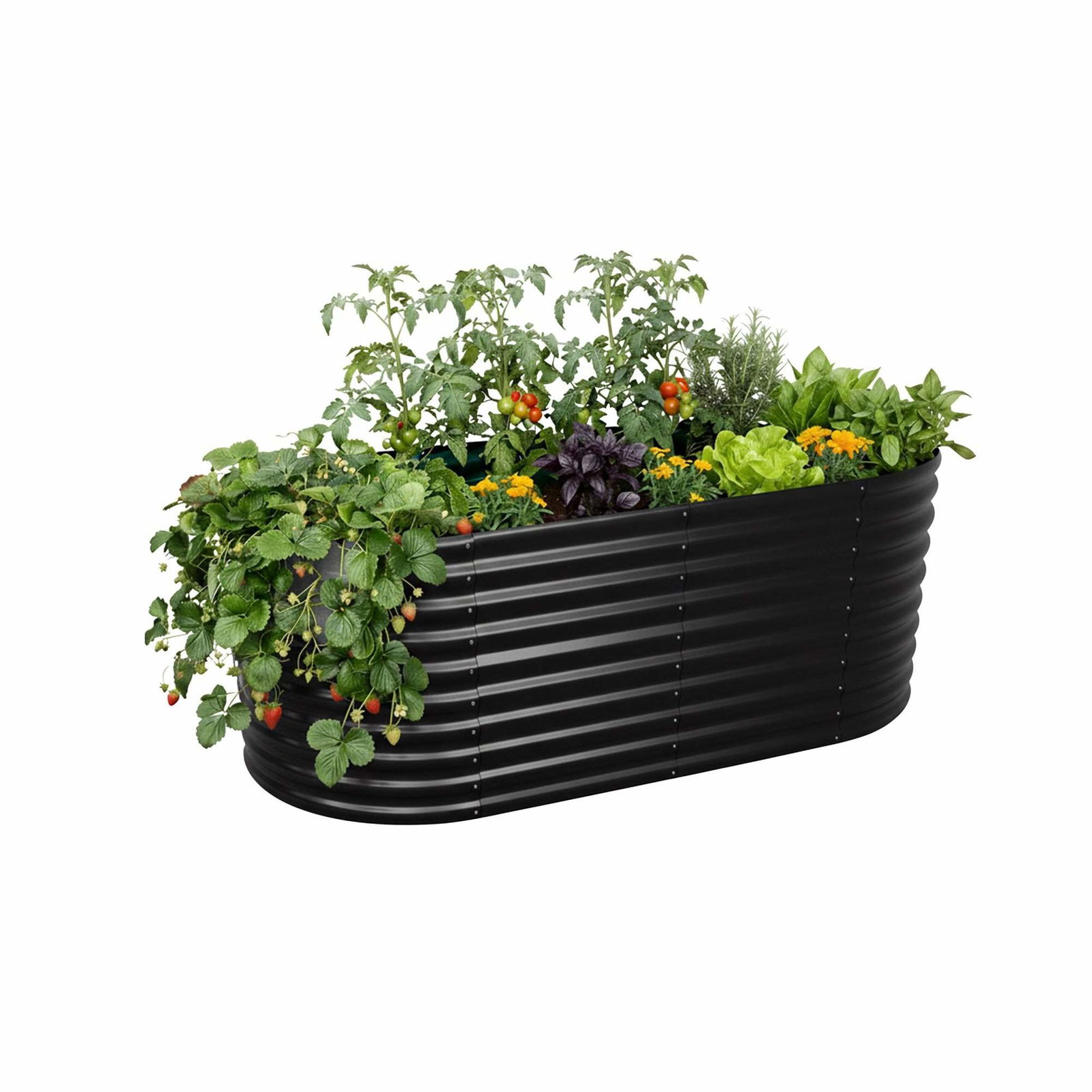 Halvrundt højbed i metal – rygvenlig havearbejde