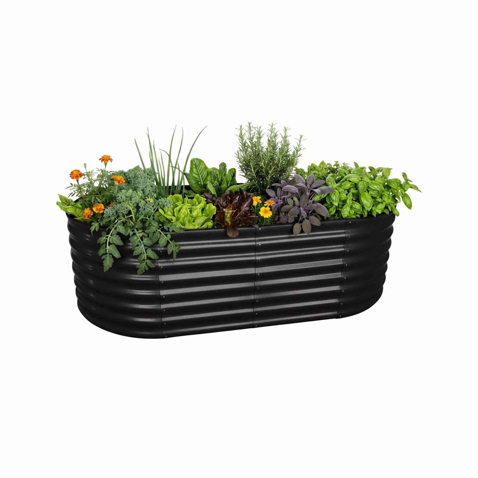 Halvrund upphöjd odlingsbädd i metall – Ryggvänlig trädgårdsskötsel | Hem & Hobby | Pryloteket