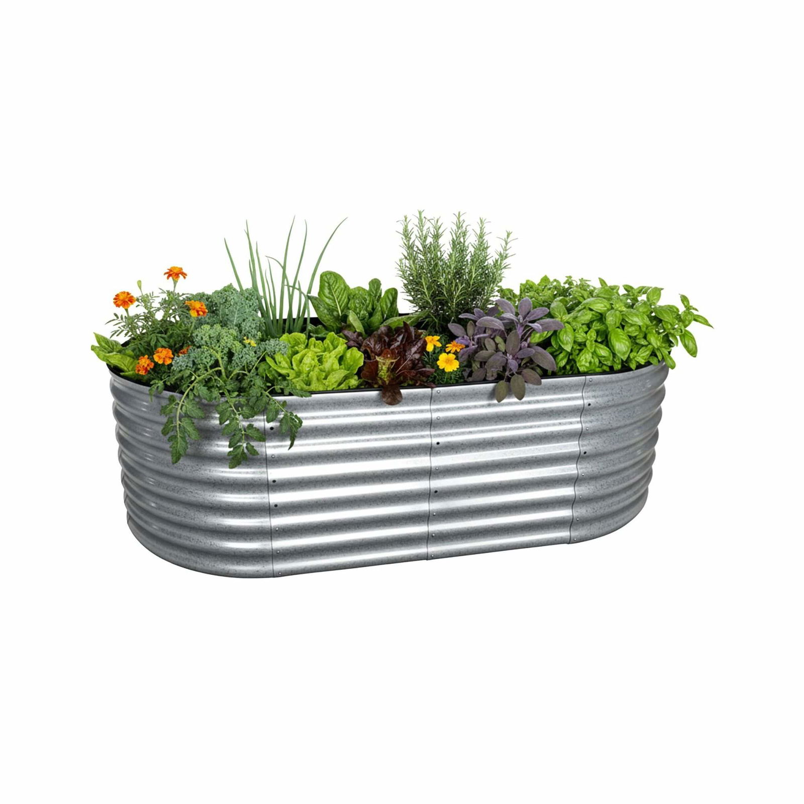 Halvrund upphöjd odlingsbädd i metall – Ryggvänlig trädgårdsskötsel | Hem & Hobby | Pryloteket